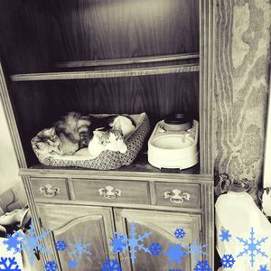 Meet your Posher, Ruth